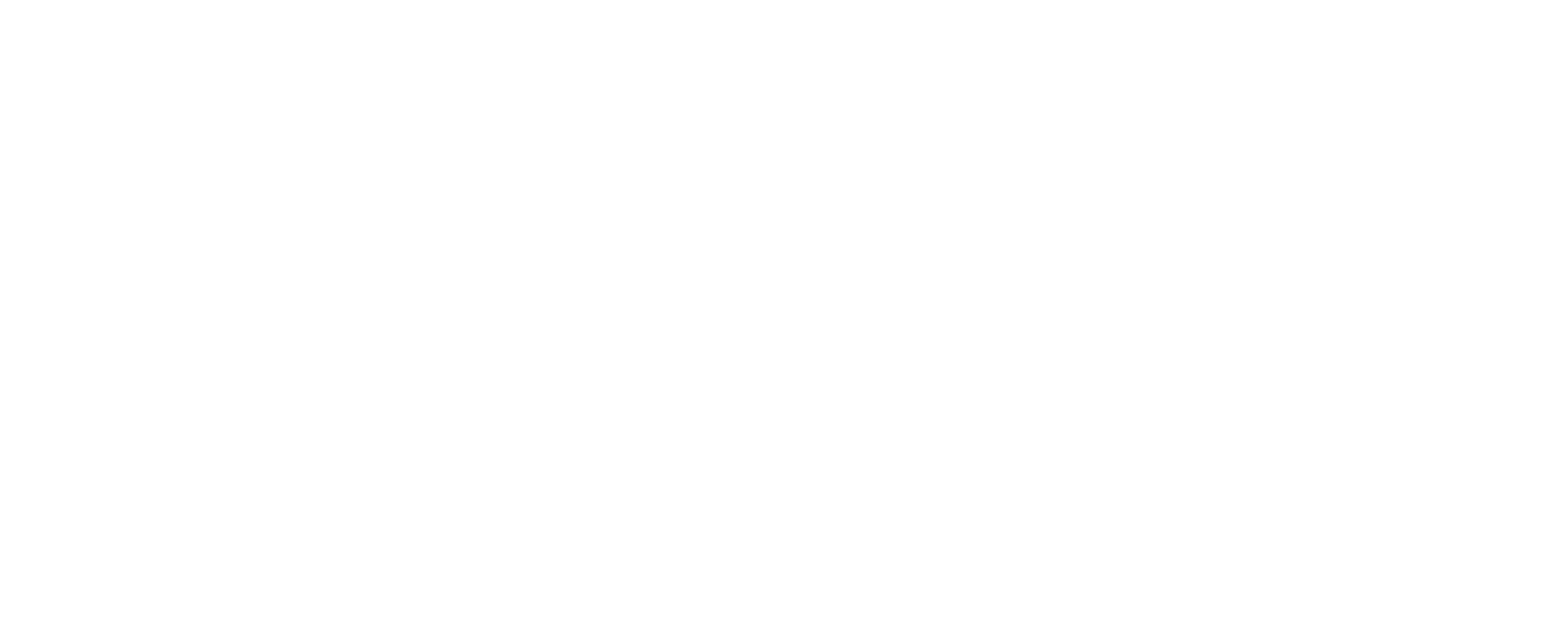 light logo